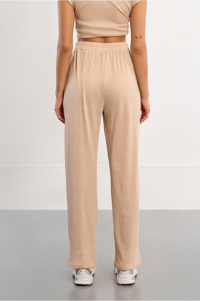 Iridescent jogger pants