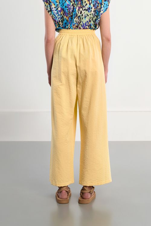 Wide-leg pants, high waist