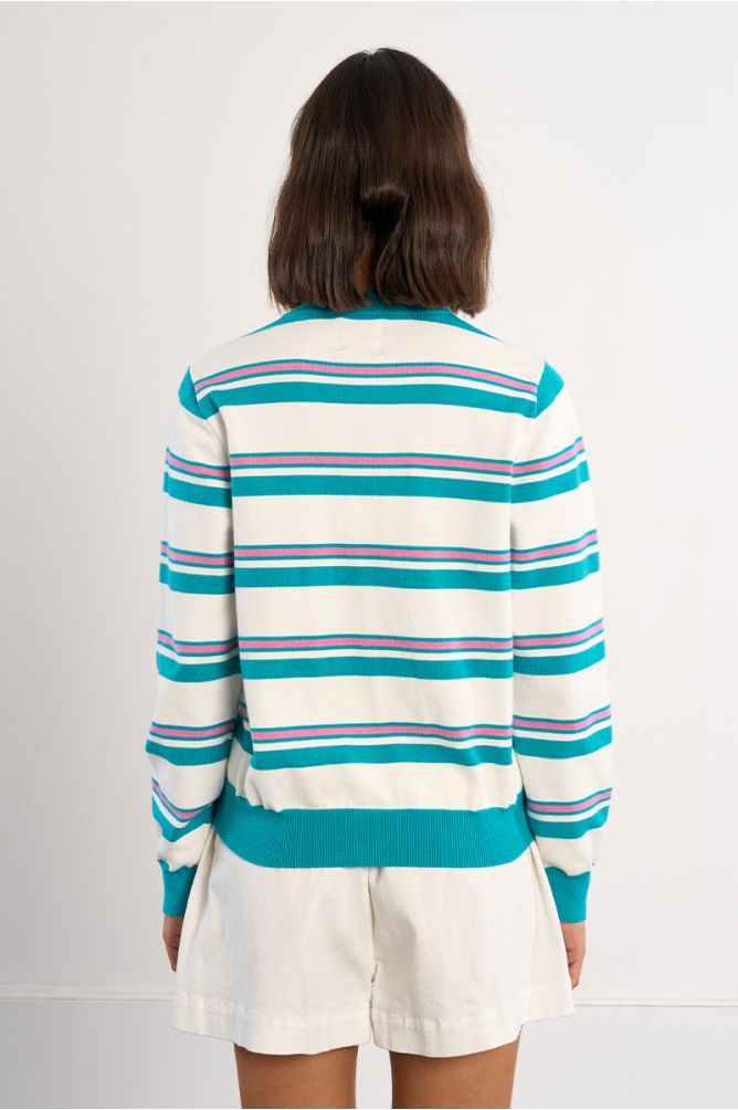 Striped Dachshund Vest