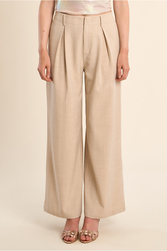 Pantalón de mujer largo, detalle pinzas.
