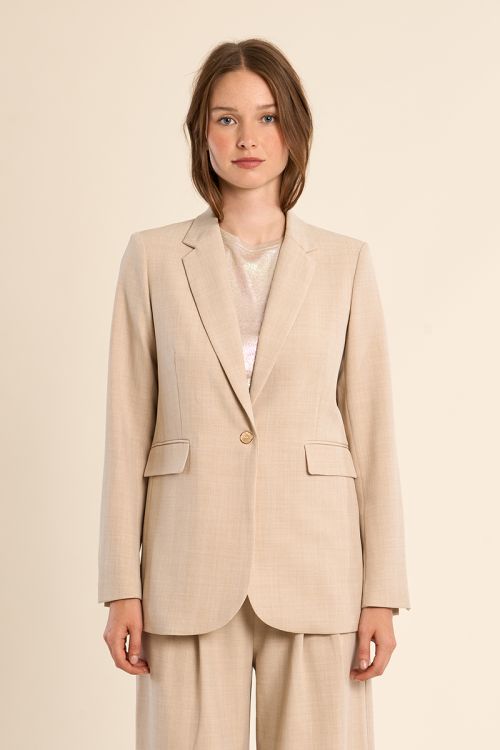 Blazer de mujer de manga larga, cuello y solapa.