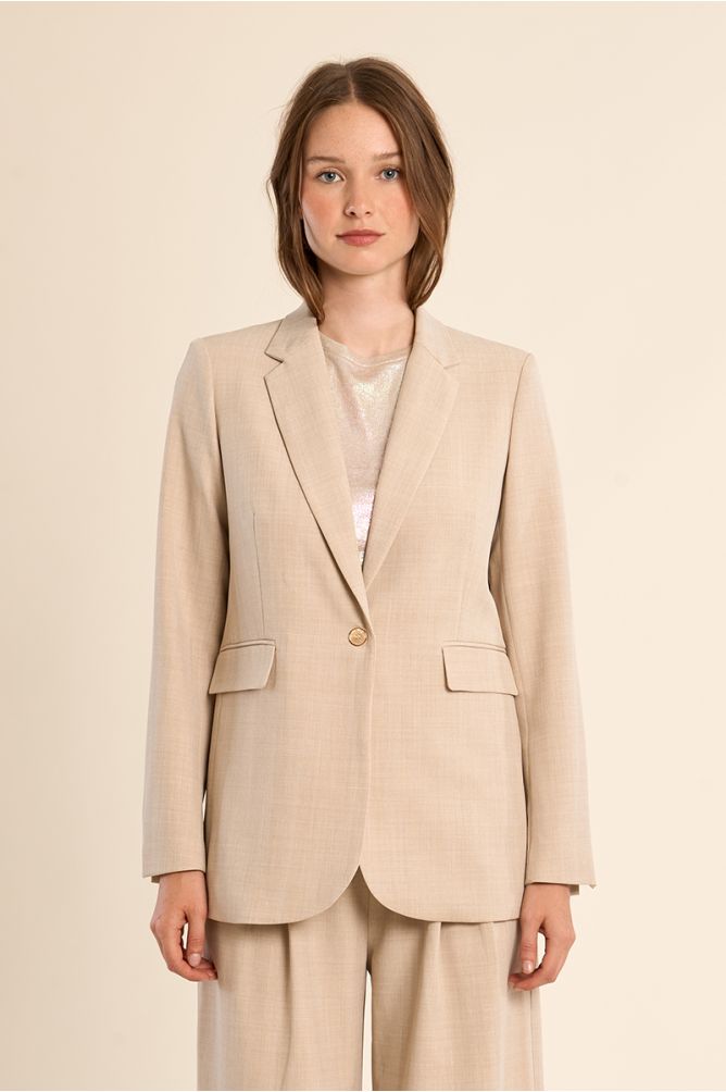 Blazer de mujer de manga larga, cuello y solapa.