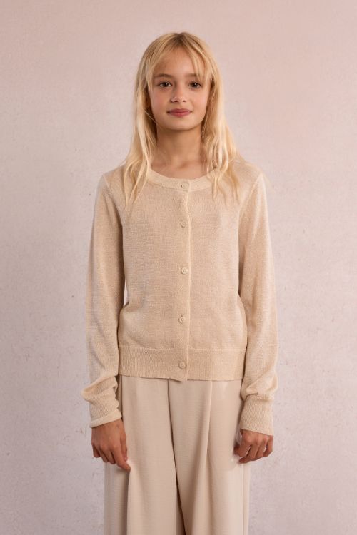 Gilet irisé