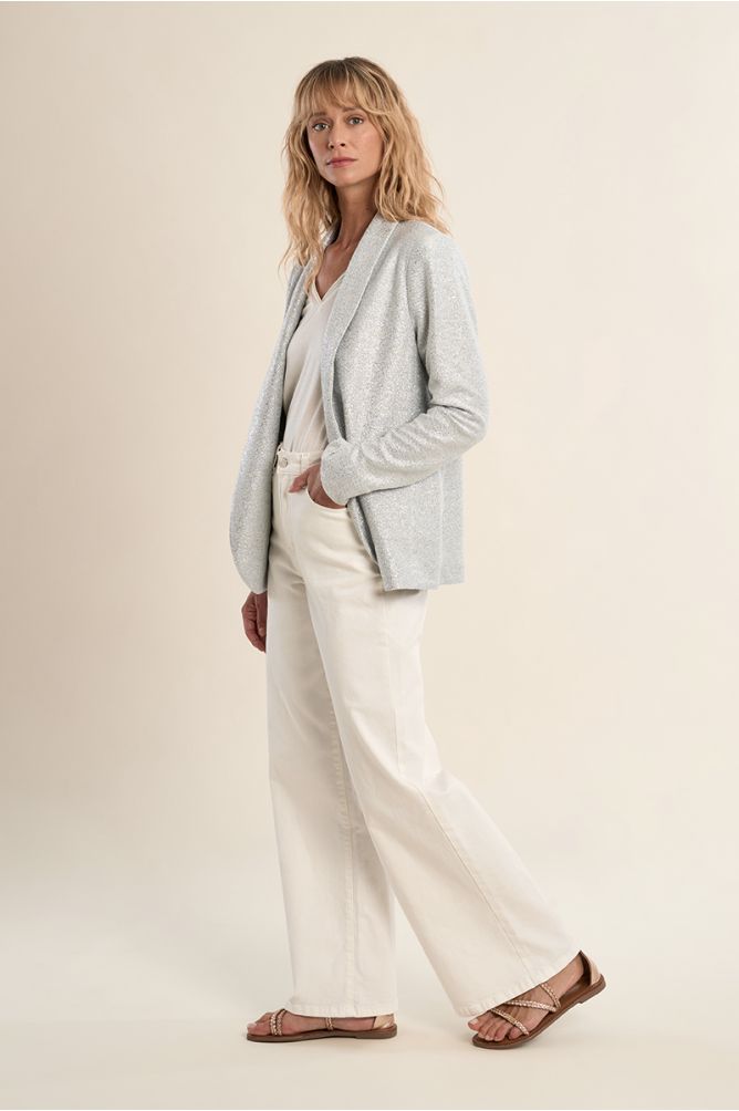 Blazer droit, irisé