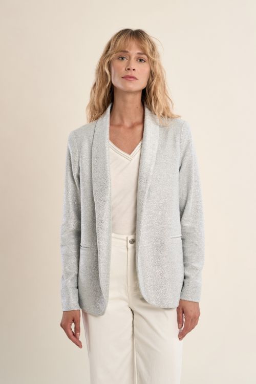 Straight blazer, iridescent